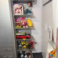 دو عدد شلف