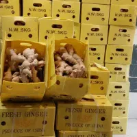 فروش ویژه مخصوص|عمدهفروشی|شیراز, حومه شیراز|دیوار