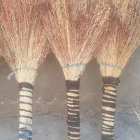 جارو، چیت و دیک روحی