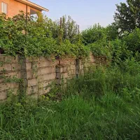 700متر زمین داخلطرح باغی درمالفجان|فروش زمین و ملک کلنگی|لاهیجان, آهندان|دیوار
