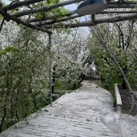 اجاره خونه باغ|اجارهٔ کوتاه‌مدت ویلا و باغ|ماهان, |دیوار