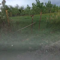 زمین خشکی برخط جاده خاکی فاصله تااسفالت ۵۰۰ متر|فروش زمین و ملک کلنگی|گوراب زرمیخ, |دیوار