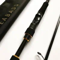 چوب دو تیکه اسپنینگ دایوا Daiwa New BG SeaBass