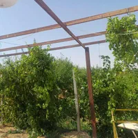 فروش باغچه  ۶۰۰ متری با انشعابات تکمیل