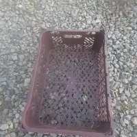 فروش سبد میوه|عمده‌فروشی|اهر, |دیوار