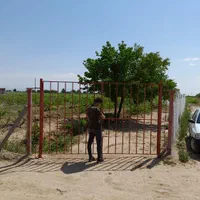 باغ انگور زیبا ،دنج با محیطی آرام در تاکستان|فروش دفتر صنعتی، کشاورزی، تجاری|تاکستان, |دیوار