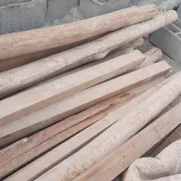 مربا روسی