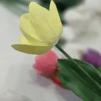 گل لاله|گل مصنوعی|اردبیل, |دیوار