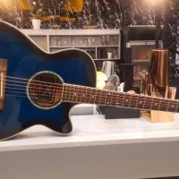 گیتار آگوستیک|گیتار، بیس، امپلیفایر|تهران, فلسطین (میدان انقلاب)|دیوار