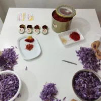راهنمایی برای صادرات زعفران به کل دنیا