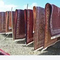قالیشویی زمرد