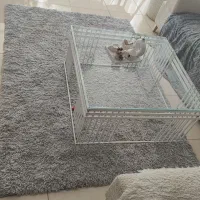 فرش خیلی شیک