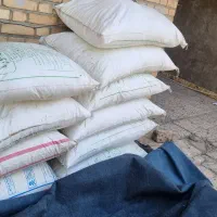 کودشیمایی  رازی وپردیس اصل اصل|خدمات باغبانی و درختکاری|باوی, |دیوار