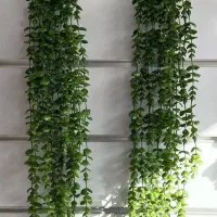 اتلیه انلاین رنگین کمان