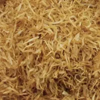 پیاز خلالی و نگینی سرخ شده