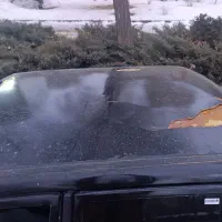 پراید ۸۲|خودرو سواری و وانت|بانه, |دیوار