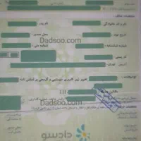 برگه سبز و برگه بیمه گم شده