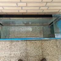 آکواریوم فروشی