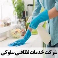 شرکت خدمات نظافتی سلوکی با مجوز رسمی تاسیس 1403