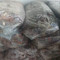 خمیر خرما  خرما شیره انگور مویز