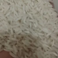 برنج هاشمی پرمحصول سورت شده خوش طعم 70کیلو