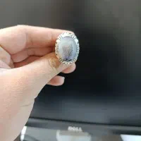 انگشتر شجر مجید زنجان