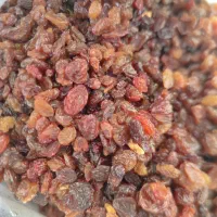 کشمش آفتابی بیدانه|خوردنی و آشامیدنی|بجنورد, |دیوار