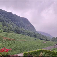 زمین مسکونی با ویلاکلنکی لیالستان ویو بی نظیر