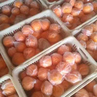 فروش تامسون انباری نایلون پیچ