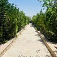 باغشهری-آب-و-برق-دائم-سیاخ-دارنگون-سند-محضری