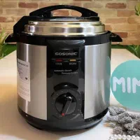 پلوپز و زودپز برقی گاسونیک ترکیه با گارانتی