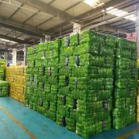 فرصت استثنایی برای سرمایه گذاری/سودماهیانه ۱۵ درصد