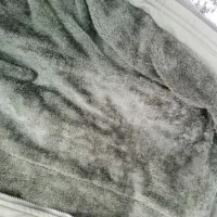 پالتو کاپشن|لباس|تاکستان, |دیوار