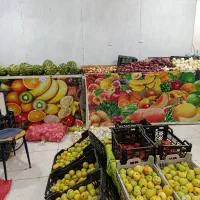 واگذاری میوه فروشی|فروشگاه و مغازه|بم, |دیوار