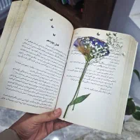 تدریس خصوصی زبان انگلیسی و دروس مدرسه