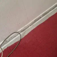 موکت جنس خوب رنگ سرخ آبی سالم|موکت|مشهد, شهید قربانی|دیوار