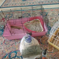 قفس خرگوش وخوکچه