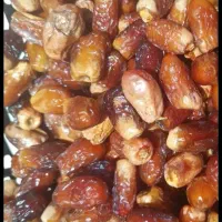 سنگ شکن ب بجستان رسید