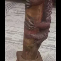 کشتی وجاهودی جفتشون 1500