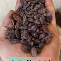 کشمش /مویز /شیره انگور|خوردنی و آشامیدنی|تهران, مولوی|دیوار