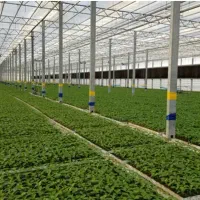 نصاب گلخانه