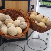 سبد میوه .سبد حصیری.سبد لوده .سبد چوبی.صندوق چوبی