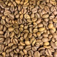 پخش دان قهوه