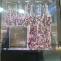 غرقه-گوشت-و-مرغ