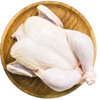 توزیع مرغ گرم