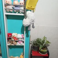 پولیشی و لبوبو
