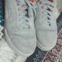 کفش|کیف، کفش، کمربند|کرمان, |دیوار