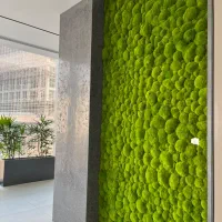 گروه معماری و طراحی داخلی خانه فیروزه ای|خدمات پیشه و مهارت|سنقر, |دیوار