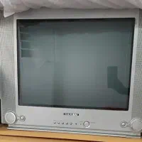 تلویزیون