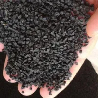 بذر پیاز قرمز دستگیر تضمینی